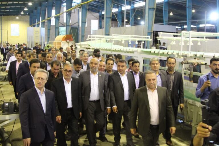 بازدید وزیر کار از کارخانه خمیر کاغذ یاسوج