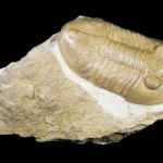 Scientists Uncover Earth's Oxygen Secret